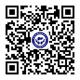 美女插入网站